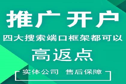 案例分享：SEM推广助力电商快速崛起